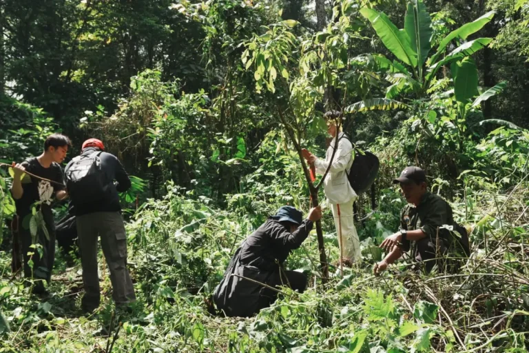 Ratusan Peserta Lintas Negara Tanam 1.000 Pohon di Danau Tamblingan, Perkuat Konservasi Lingkungan