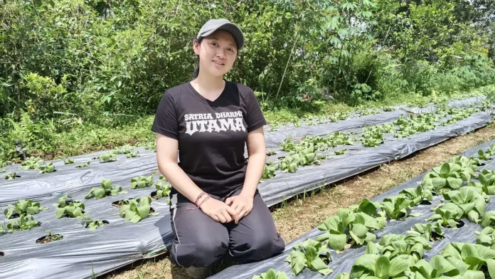 Di tengah lahan pertanian Bali, generasi muda mulai menjadikan sektor agrikultur sebagai pilihan karier yang menjanjikan, termasuk Ni Putu Meilanie Ary Sandi (23), yang menekuni dunia pertanian di kampung halamannya.