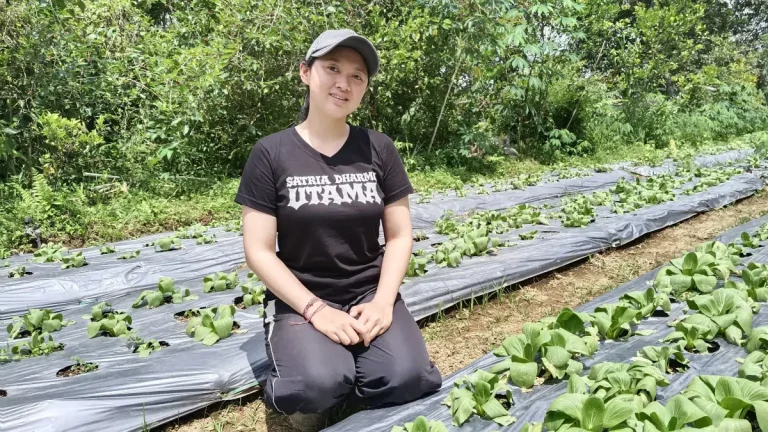 Di tengah lahan pertanian Bali, generasi muda mulai menjadikan sektor agrikultur sebagai pilihan karier yang menjanjikan, termasuk Ni Putu Meilanie Ary Sandi (23), yang menekuni dunia pertanian di kampung halamannya.