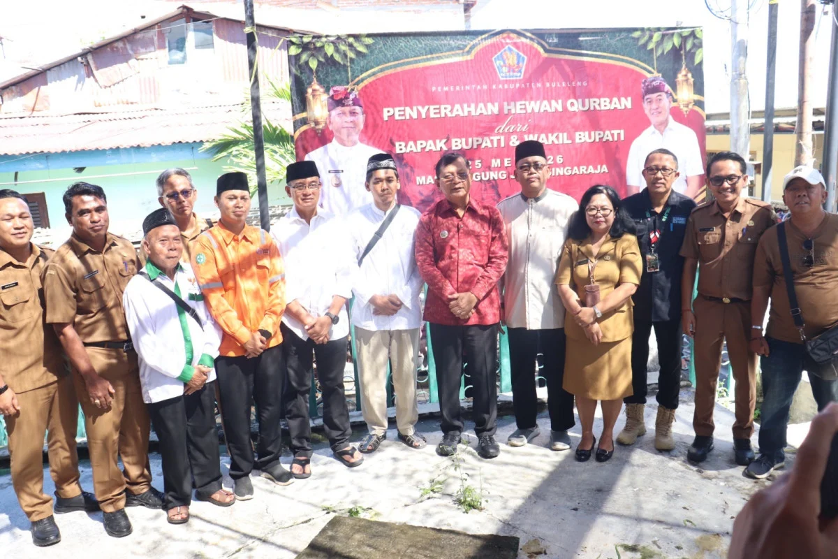 Menjelang perayaan Hari Raya Iduladha 1447 Hijriah, Pemerintah Kabupaten Buleleng menyalurkan bantuan hewan kurban kepada masyarakat melalui Masjid Agung Jami’ Singaraja, Senin 25 Mei 2026.