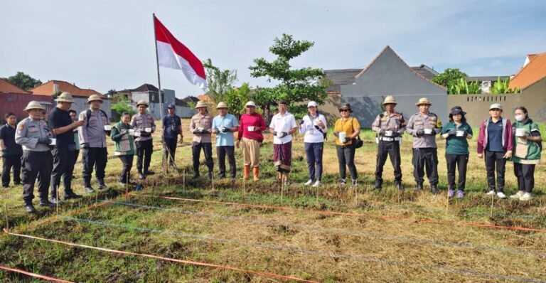 Pemanfaatan lahan pertanian yang tidak digunakan sementara kembali menunjukkan hasil positif di Kota Denpasar. Dinas Pertanian Kota Denpasar berhasil melakukan panen jagung manis varietas Golden Boy di lahan Subak Intaran Barat, Desa Sanur Kauh, Kecamatan Denpasar Selatan, Kamis 2 Juli 2026.