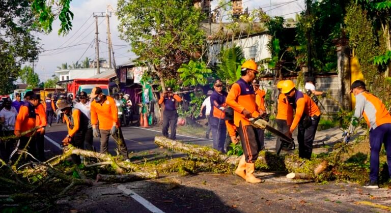 Pemerintah Kabupaten Klungkung melalui Badan Penanggulangan Bencana Daerah (BPBD) melakukan pemangkasan pohon perindang di Jalan Raya Besakih, wilayah Desa Akah, Kecamatan Klungkung, Jumat 17 Juli 2026.