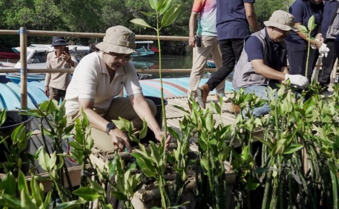 Perumda Tirta Mangutama Genap 50 Tahun, 2.000 Mangrove Jadi Kado untuk Lingkungan Badung Perumda Tirta Mangutama Genap 50 Tahun, 2.000 Mangrove Jadi Kado untuk Lingkungan Badung