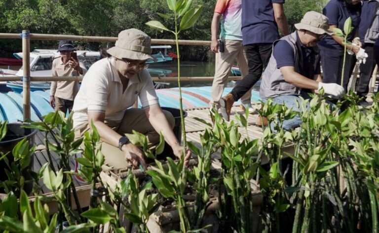 Perumda Tirta Mangutama Genap 50 Tahun, 2.000 Mangrove Jadi Kado untuk Lingkungan Badung