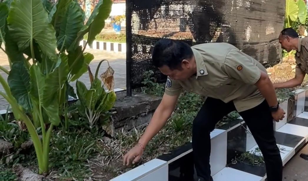 Taman Sekolah Kurang Terawat, Bupati Kembang Langsung Turun Cabut Rumput di SMPN 5 Melaya Taman Sekolah Kurang Terawat, Bupati Kembang Langsung Turun Cabut Rumput di SMPN 5 Melaya