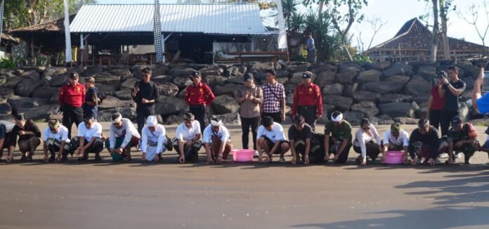 Peringatan Hari Tumpek Uye atau Tumpek Kandang di Kabupaten Jembrana diisi dengan kegiatan pelestarian penyu. Sebanyak 200 ekor tukik dilepasliarkan di kawasan Konservasi Penyu Kurma Asih, Desa Perancak, Kecamatan Jembrana, Sabtu 5 September 2026. Peringatan Hari Tumpek Uye atau Tumpek Kandang di Kabupaten Jembrana diisi dengan kegiatan pelestarian penyu. Sebanyak 200 ekor tukik dilepasliarkan di kawasan Konservasi Penyu Kurma Asih, Desa Perancak, Kecamatan Jembrana, Sabtu 5 September 2026.