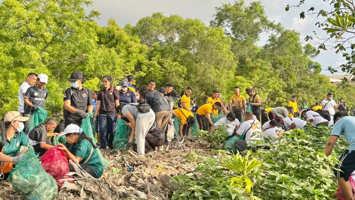Jelang Tumpek Wayang, Pemprov Bali Bersihkan Mangrove Pesanggaran dan Kumpulkan 3,56 Ton Sampah Jelang Tumpek Wayang, Pemprov Bali Bersihkan Mangrove Pesanggaran dan Kumpulkan 3,56 Ton Sampah